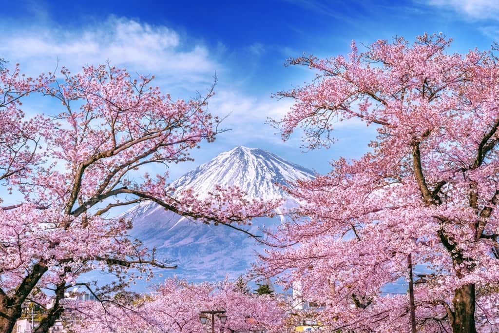Fototapeta Góra Fuji