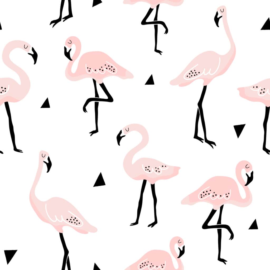Fototapeta Flamingi W Bieli