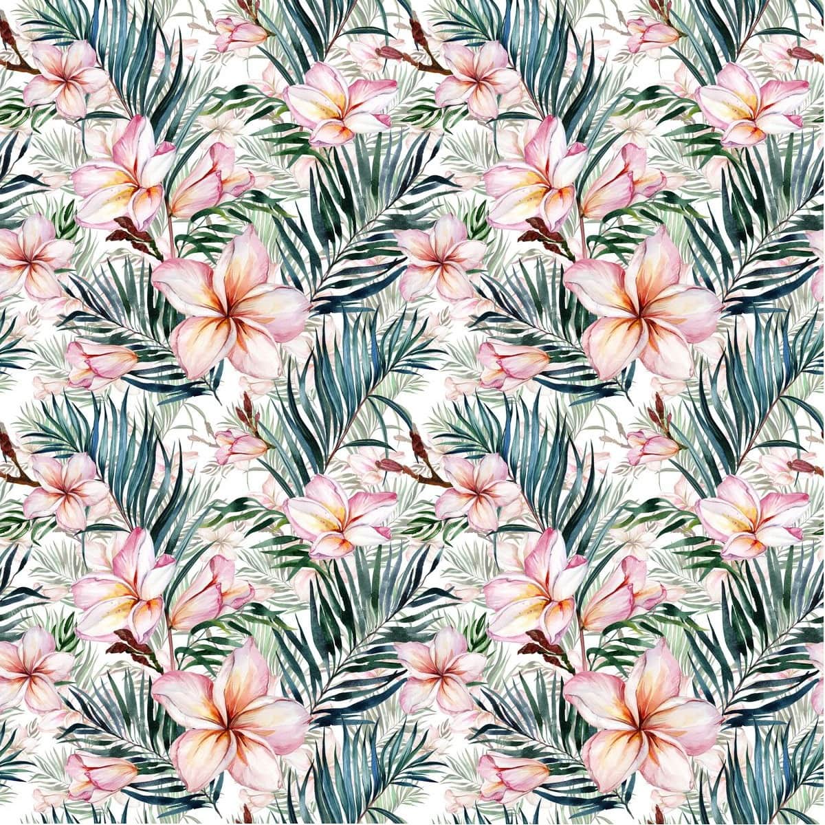 Fototapeta Plumeria
