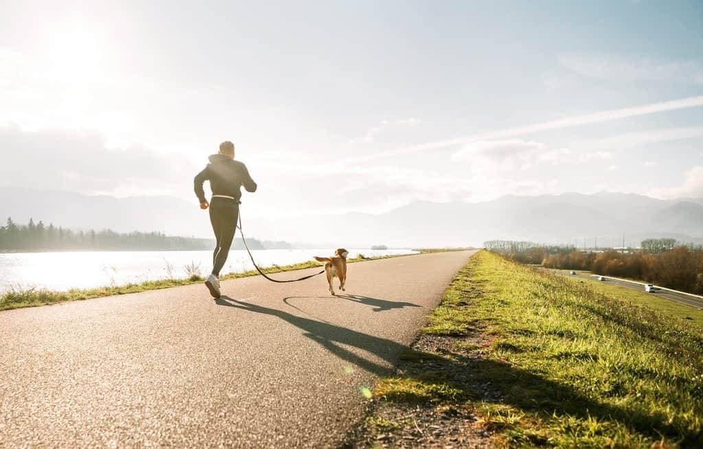 Fototapeta Jogging z Psem